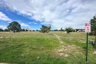 17136 Silent Forest Point, Monument, CO 80132 - Photo 28