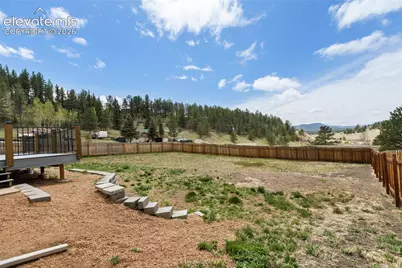 740 Crystal Peak Road, Florissant, CO 80816 - Photo 36