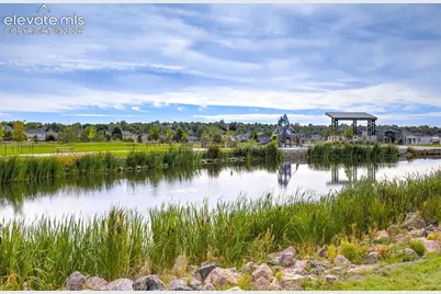 3635 Levy Park Drive, Colorado Springs, CO 80922 - Photo 40