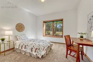 19435 Sherwood Trail, Monument, CO 80132 - Photo 38