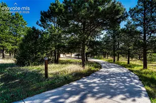 19435 Sherwood Trail, Monument, CO 80132 - Photo 10