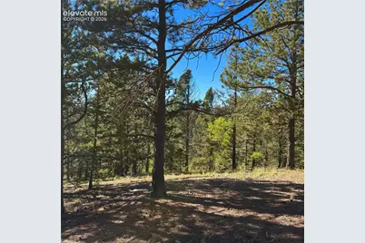 31 Pike View Circle, Divide, CO 80814 - Photo 2