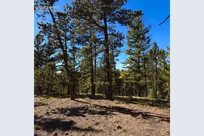 31 Pike View Circle, Divide, CO 80814 - Photo 12