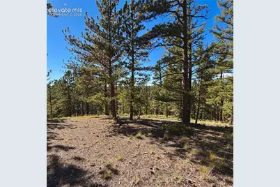 31 Pike View Circle, Divide, CO 80814 - Photo 6