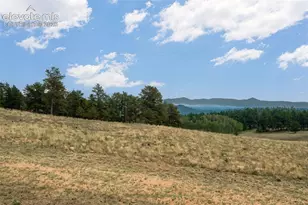954 County Road 403, Guffey, CO 80820 - Photo 1