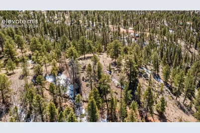 196 Beaver Creek Circle, Florissant, CO 80816 - Photo 4
