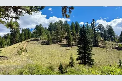 196 Beaver Creek Circle, Florissant, CO 80816 - Photo 18