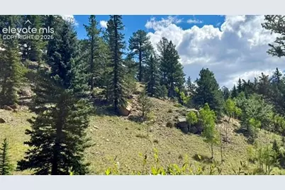 196 Beaver Creek Circle, Florissant, CO 80816 - Photo 12