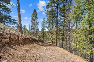 196 Beaver Creek Circle, Florissant, CO 80816 - Photo 8