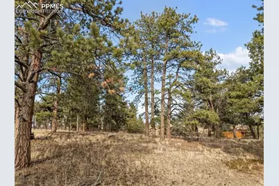 263 Valley Drive, Lake George, CO 80827 - Photo 24