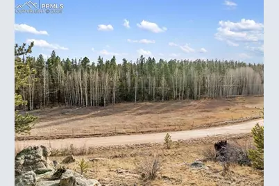 263 Valley Drive, Lake George, CO 80827 - Photo 2