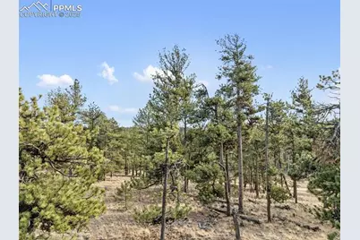 263 Valley Drive, Lake George, CO 80827 - Photo 6