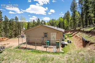 44 Silver Trail, Florissant, CO 80816 - Photo 16