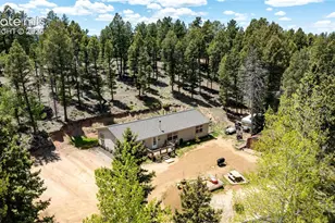 44 Silver Trail, Florissant, CO 80816 - Photo 28