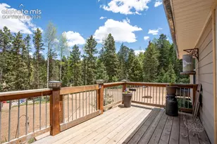 44 Silver Trail, Florissant, CO 80816 - Photo 14