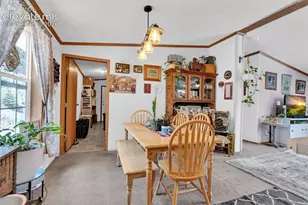 44 Silver Trail, Florissant, CO 80816 - Photo 10