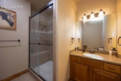 230 Eagle Pines Drive, Woodland Park, CO 80863 - Photo 46