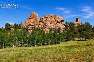 875 Hackamore Dr, Florissant, CO 80816 - Photo 22