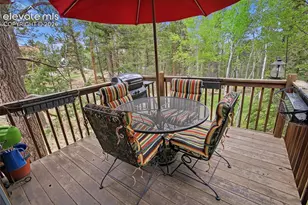 877 N Mountain Estates Rd, Florissant, CO 80816 - Photo 6