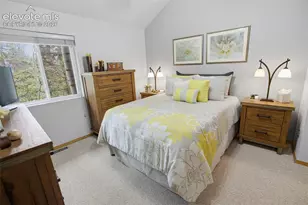 877 N Mountain Estates Rd, Florissant, CO 80816 - Photo 16