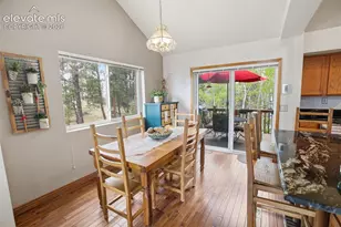 877 N Mountain Estates Rd, Florissant, CO 80816 - Photo 4