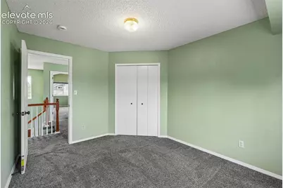 6065 Fescue Drive, Colorado Springs, CO 80923 - Photo 18