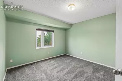 6065 Fescue Drive, Colorado Springs, CO 80923 - Photo 20