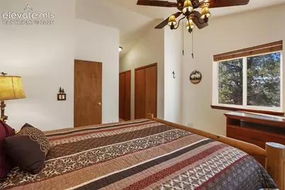 493 Horseshoe Drive, Divide, CO 80814 - Photo 28
