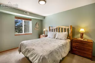 493 Horseshoe Dr, Divide, CO 80814 - Photo 42