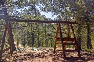 493 Horseshoe Dr, Divide, CO 80814 - Photo 6