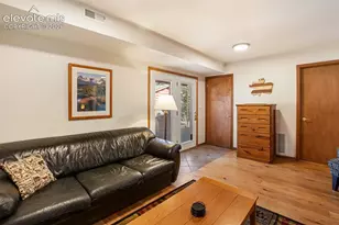 493 Horseshoe Dr, Divide, CO 80814 - Photo 34