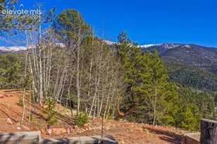 493 Horseshoe Dr, Divide, CO 80814 - Photo 12