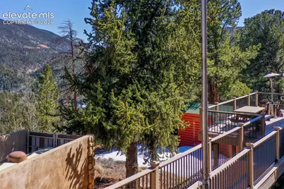 493 Horseshoe Drive, Divide, CO 80814 - Photo 44