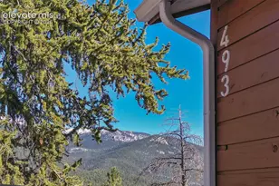 493 Horseshoe Dr, Divide, CO 80814 - Photo 10
