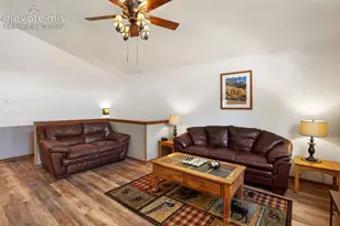 493 Horseshoe Dr, Divide, CO 80814 - Photo 16
