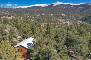 493 Horseshoe Dr, Divide, CO 80814 - Photo 2