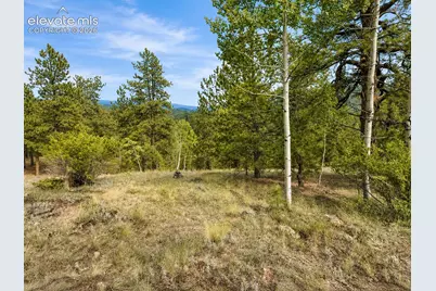 88 May Queen Way, Cripple Creek, CO 80813 - Photo 6