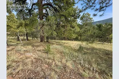 88 May Queen Way, Cripple Creek, CO 80813 - Photo 4