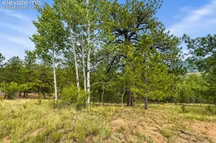 88 May Queen Way, Cripple Creek, CO 80813 - Photo 1