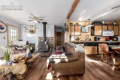201 Lake Drive, Florissant, CO 80816 - Photo 10