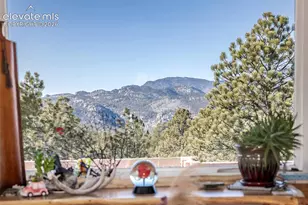 201 Lake Dr, Florissant, CO 80816 - Photo 8