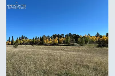 2940 North Road, Divide, CO 80814 - Photo 20