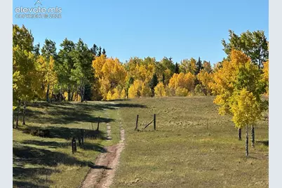 2940 North Road, Divide, CO 80814 - Photo 4