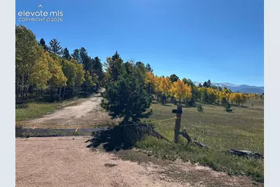 2940 North Road, Divide, CO 80814 - Photo 24