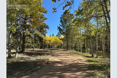 2940 North Road, Divide, CO 80814 - Photo 10
