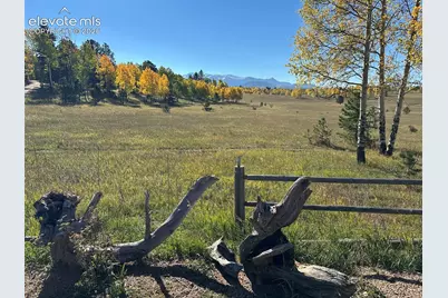 2940 North Road, Divide, CO 80814 - Photo 8