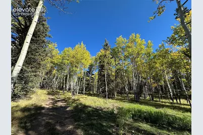 2940 North Road, Divide, CO 80814 - Photo 16