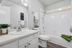 1010 Magic Lamp Way, Monument, CO 80132 - Photo 10