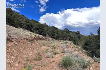 2973 Driftwood Road, Westcliffe, CO 81252 - Photo 12