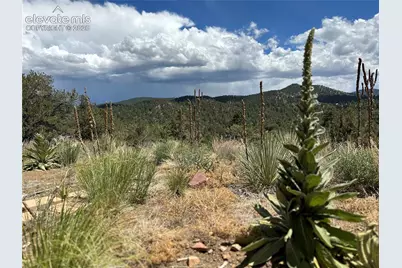 2973 Driftwood Road, Westcliffe, CO 81252 - Photo 8